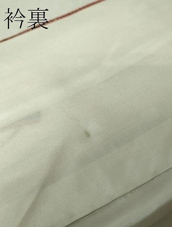 平和屋本店●極上　浦野理一　経節紬　縞　逸品　未使用　DZAB6789kh6
