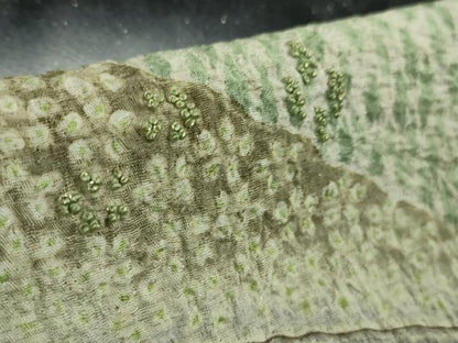 平和屋着物●極上　中国三大刺繍　相良刺繍　訪問着　重ね山花文　暈し染め　黒地　銀通し地　逸品　DZAB6966kh6