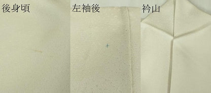 平和屋本店●極上　訪問着　馬車　お城　象牙色地　暈し染め　銀彩　逸品　DZAB6968kh6