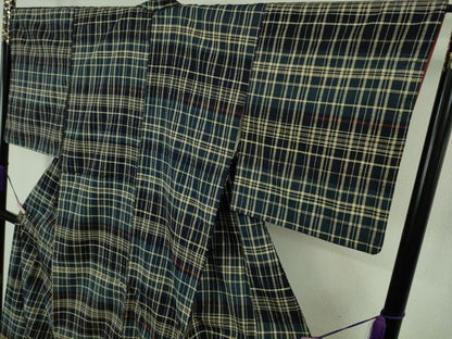 平和屋本店●極上　郡上紬　草木染　変わり格子　逸品　DZAB7401kh6