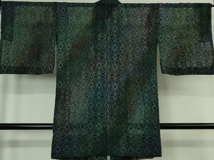 平和屋着物∞極上　道中着　オーガンジー　スリーシーズン 春夏秋　塵除け　ロング丈　刺繍　レース　飾花文　暈し染め　逸品　DZAB7431kh6