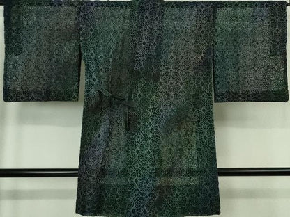 平和屋着物∞極上　道中着　オーガンジー　スリーシーズン 春夏秋　塵除け　ロング丈　刺繍　レース　飾花文　暈し染め　逸品　DZAB7431kh6