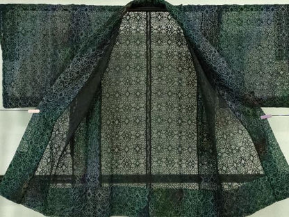 平和屋着物∞極上　道中着　オーガンジー　スリーシーズン 春夏秋　塵除け　ロング丈　刺繍　レース　飾花文　暈し染め　逸品　DZAB7431kh6
