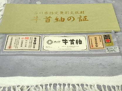 平和屋本店●極上　石川県指定無形文化財　牛首紬　白山工房　手織り　訪問着　枝花文　銀彩　証紙付き　逸品　未使用　DZAB7700kh6