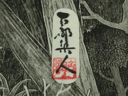 平和屋本店●極上　琉染の創設者　山岡古都　水墨書　訪問着　日本の名勝　東京都　小金井　逸品　未使用　DZAB8180kh6
