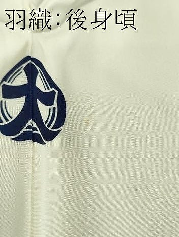 平和屋本店●極上　男性　色紋付・長羽織セット　象牙色　逸品　DZAB8213kh6