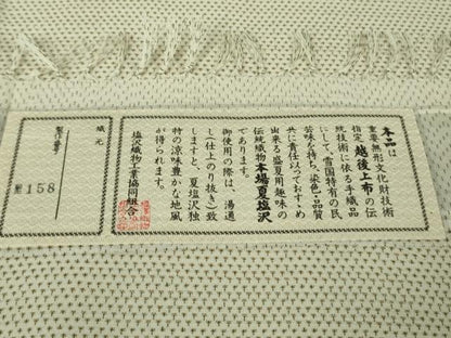 平和屋着物＊極上　夏物　本塩沢　夏塩沢　染と織　瀧右衛門　伝統工芸士　本田利夫　蚊絣　証紙付き　逸品　未使用　DZAB8412kh6