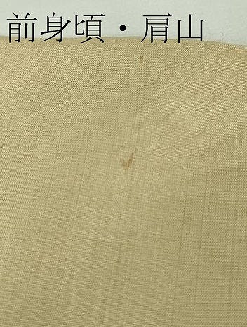 平和屋着物▽極上　インド・アッサム　野蚕糸　手織　ムガシルク　訪問着　単衣　鳥獣切嵌文　反端・証明書付き　逸品　DZAB8699kh6