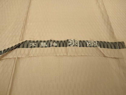平和屋本店＊極上　夏物　大島紬　夏大島　長襦袢セット　羽風　香色地　反端付き　逸品　未使用　DZAB8704kh6