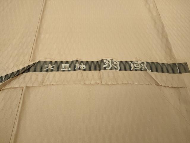 平和屋本店＊極上　夏物　大島紬　夏大島　長襦袢セット　羽風　香色地　反端付き　逸品　未使用　DZAB8704kh6