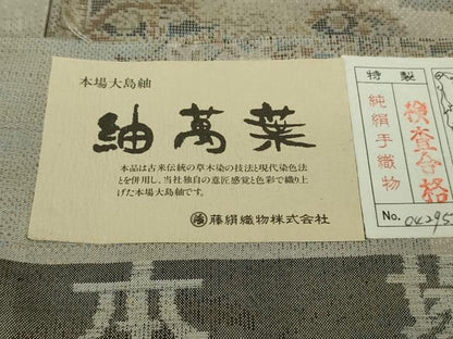平和屋着物●極上　都喜ヱ門　本場大島紬　紬萬葉　祇園祭　人物風景　藤絹織物謹製　証紙付き　逸品　DZAB8756kh6