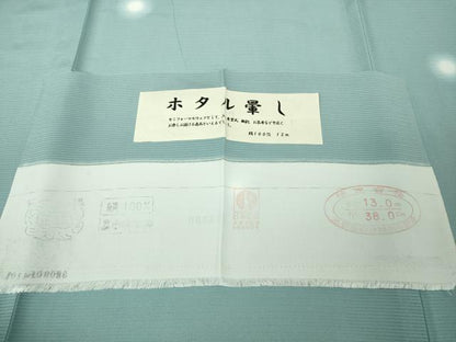 平和屋着物＊極上　夏物　小紋　絽　蛍暈し　水色地　反端付き　逸品　未使用　DZAB8802kh6