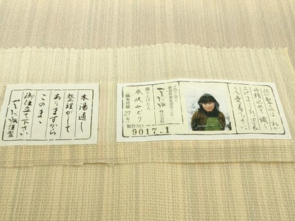 平和屋本店●極上　本塩沢　やまだ織　草木染　やまもも　水沢みどり作　証紙付き　ロング丈　逸品　DZAB8966kh6