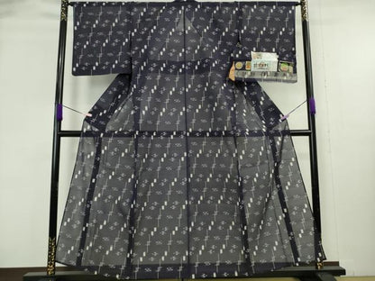 平和屋着物＊極上　夏物　本場琉球絣　夏琉球　知念幸徳　大城カメ　手おり　証紙付き　逸品　未使用　DZAB8993kh6