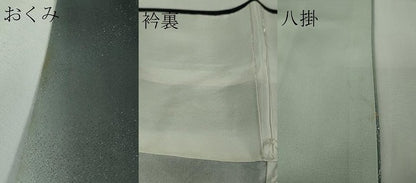 平和屋着物●極上　訪問着　スパンコール　花唐草文　暈し染め　金銀彩　銀通し地　ロング丈　逸品　DZAB9052kh6
