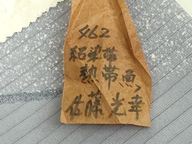 平和屋着物＊極上　夏物　東京友禅　佐藤光幸　絽塩瀬 九寸名古屋帯 熱帯魚 エンゼルフィッシュ 五泉 金彩 反端付 逸品 未使用 DZAB9124kh6