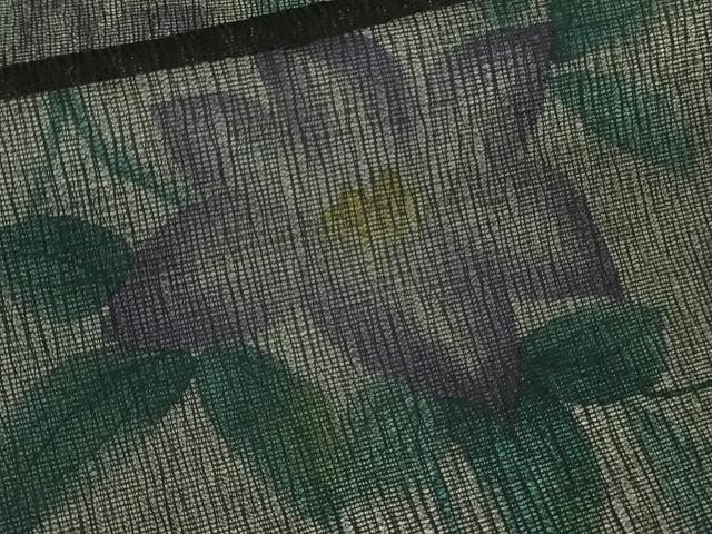 平和屋着物▽極上　訪問着　無双　紗袷　紗×絽　手描き　鉄仙花　黒地　逸品　未使用　DZAB9247kh6