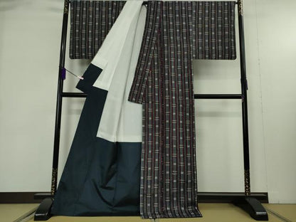 平和屋本店●極上　浦野理一　経節紬　間道　逸品　未使用　DZAB9293kh6