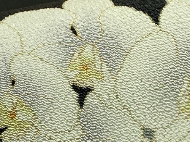 平和屋着物●極上　友禅作家　茂野大生　九寸開き名古屋帯　胡蝶蘭　黒地　鬼しぼ縮緬　逸品　DZAB9355kh6