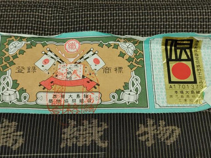 平和屋着物●極上 男性 銀座 志ま亀 本場大島紬 アンサンブル 100亀甲 総詰め 武島織物謹製 たとう紙・証紙付き 逸品　未使用　DZAB9518kh6