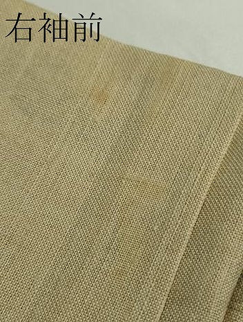 平和屋着物▽極上　結城紬　訪問着　単衣　手描き　風景文　枯色地　証紙付き　逸品　未使用　DZAB9658kh6