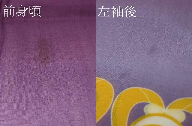 平和屋着物∴極上　夏物　訪問着　浴衣　枝花文　暈し染め　洗える着物　逸品　DZAB9688kh6