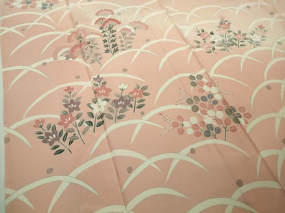 平和屋着物＊極上　夏物　訪問着　絽　刺繍　秋草　露芝文　洗柿色地　暈し染め　銀彩　逸品　未使用　DZAB9696kh6
