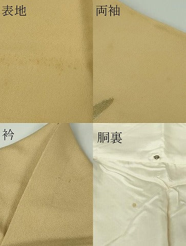 平和屋本店●極上　セミアンティーク　訪問着　松ぼっくり　松葉　卵色地　金彩　逸品　DZAB9946kh6