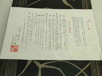 平和屋着物●極上　本場筑前博多織　草木染　手織工房　染匠：小森久　八寸名古屋帯　たとう紙付き　逸品　DZAC0483kh6