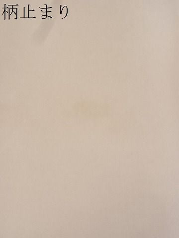 平和屋着物■六通柄袋帯 唐織 笹 金銀糸 逸品 fb9018