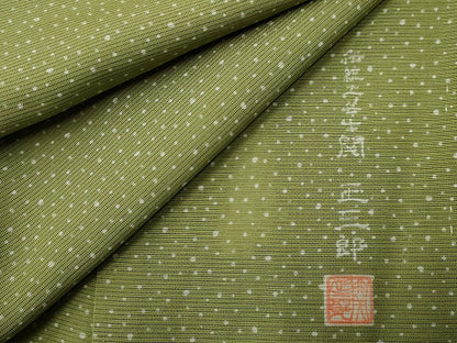 平和屋着物＊伝統工芸士 関正三郎 夏物 江戸小紋 絽 大小霰 正絹 逸品 未使用 CABB1720ou