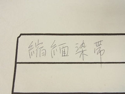 平和屋本店■極上　九寸名古屋帯　型染め　草花文　鬼しぼ縮緬　えり善扱い　たとう紙付き　正絹　逸品　KAAA10431kk4 - 平和屋