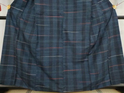 平和屋本店■極上　郡上紬　草木染　霞文　正絹　逸品　KAAA1761kk5 - 平和屋