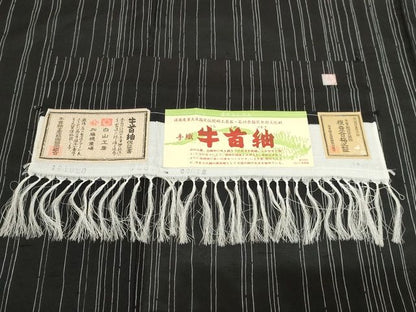 平和屋本店■極上　夏物　石川県指定無形文化財　夏牛首紬　白山工房　手織り　縞　黒地　証紙付き　正絹　逸品　KAAA1768kk5 - 平和屋