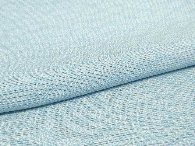 平和屋本店■極上　夏物　人間国宝　小宮康正　江戸小紋　絽　笹文　鈴乃屋扱い　逸品　KAAA1797kk5 - 平和屋