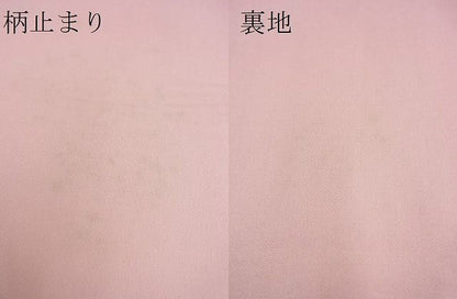平和屋着物■六通柄袋帯　草花文　銀糸　逸品　n-pk3549