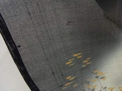期間限定セール30％off■極上　夏物　訪問着・長襦袢セット　紗紬　手描き　鳥獣戯画　黒地　暈し染め　半衿刺繍　逸品3s2001